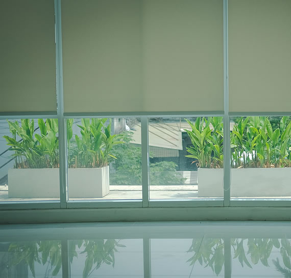 image of Sun-Screen Blinds